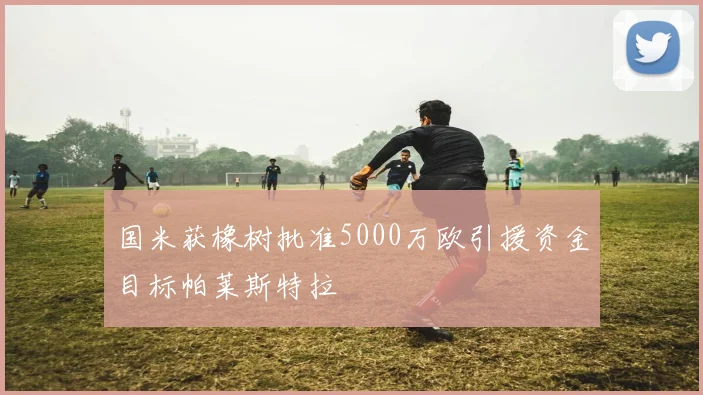 国米获橡树批准5000万欧引援资金目标帕莱斯特拉